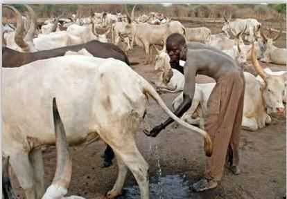 為什么說(shuō)水是生命之源，人為什么說(shuō)水是生命之源？圖5