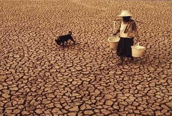 為什么說(shuō)水是生命之源，人為什么說(shuō)水是生命之源？圖6