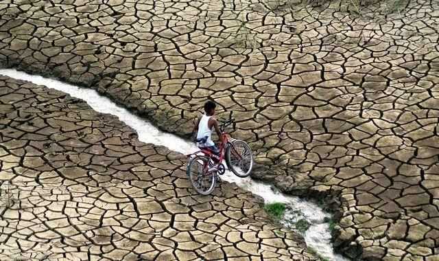 為什么說(shuō)水是生命之源，人為什么說(shuō)水是生命之源？圖9