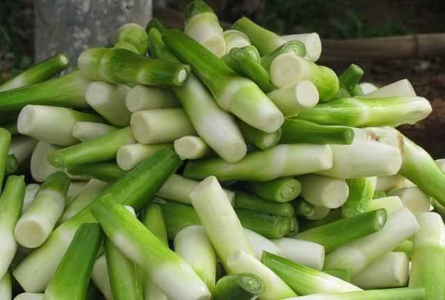 茭白發(fā)綠了還能吃嗎，茭白的葉子可以剪掉嗎？圖10