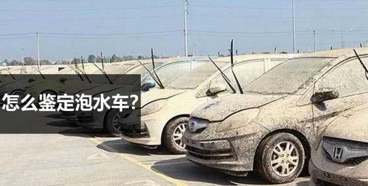 怎么樣去除車(chē)里的霉味