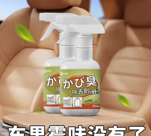 汽車(chē)泡水有異味怎么處理