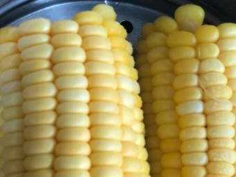 玉米蒸多久能蒸熟,蒸箱蒸玉米多久可以蒸熟圖3