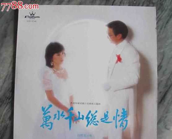 萬(wàn)水千山總是情上一句