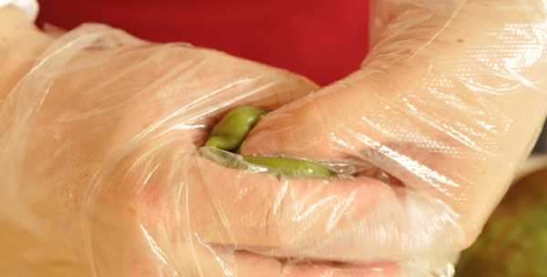 做清明團子用什么草,做清明團的植物叫什么圖9