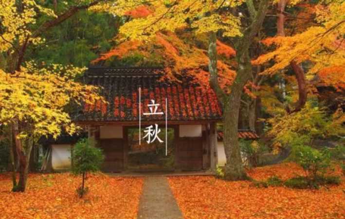 今天立秋嗎?立秋應該做什么