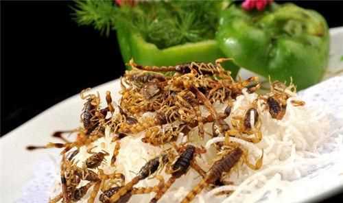 蝎子怎么炸著(zhù)吃,油炸蝎子怎么做