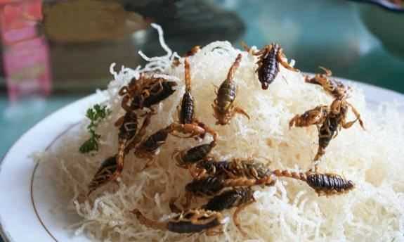 蝎子怎么炸著(zhù)吃,油炸蝎子怎么做圖4