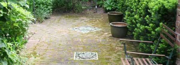 院子里長(cháng)青苔怎么去除,院子里青苔怎么清除 院子里青苔的解決方法視頻圖2