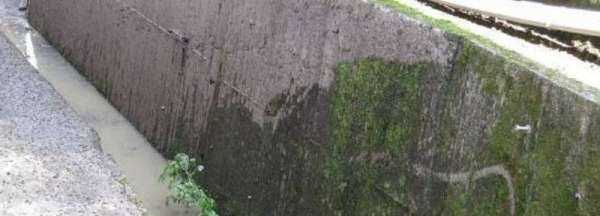 院子里長(cháng)青苔怎么去除,院子里青苔怎么清除 院子里青苔的解決方法視頻圖4