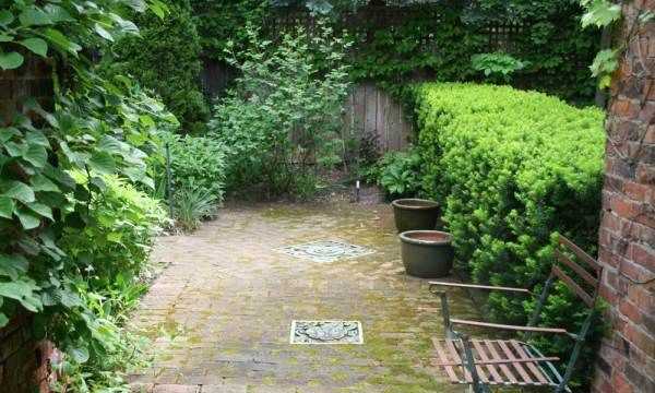 院子里長(cháng)青苔怎么去除,院子里青苔怎么清除 院子里青苔的解決方法視頻圖5