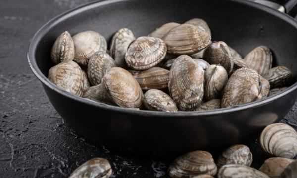 花蛤怎么保存一晚上,花蛤怎么保存到第二天圖1