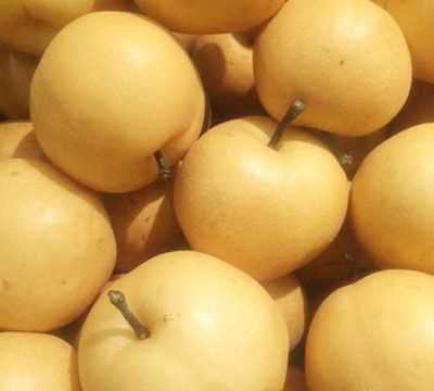 新鮮的梨子可以怎樣保存