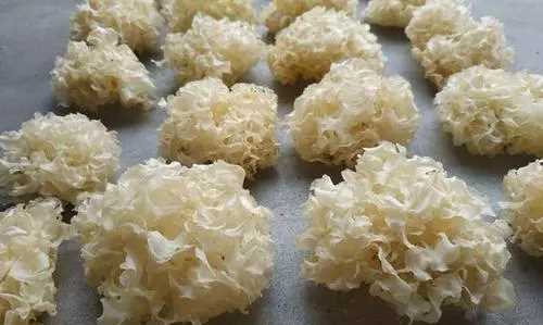 銀耳熬不出膠有功效,銀耳不出膠和出膠的營(yíng)養區別在哪圖3