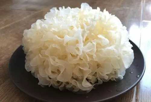 銀耳熬不出膠有功效,銀耳不出膠和出膠的營(yíng)養區別在哪圖5