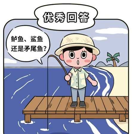 養魚(yú)專(zhuān)業(yè)戶(hù)網(wǎng)絡(luò )用語(yǔ)