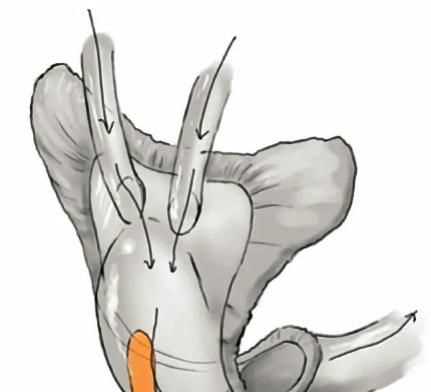 航天員怎么拉屎，神舟十二號航天員大小便怎么處理？圖5