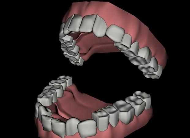 古代對牙和齒的定義稱(chēng)謂