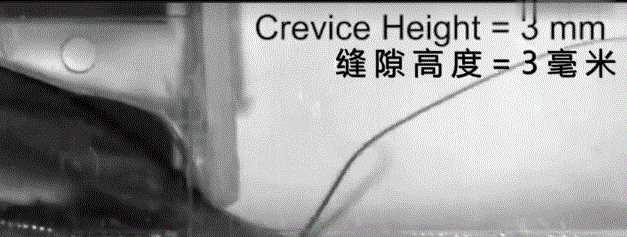 蟑螂多久會(huì )餓死，怎么才能切斷家里的水源徹底讓蟑螂餓死？圖9