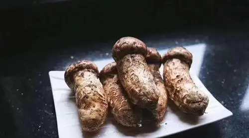 松茸為什么不能水洗,松茸如何清洗圖2