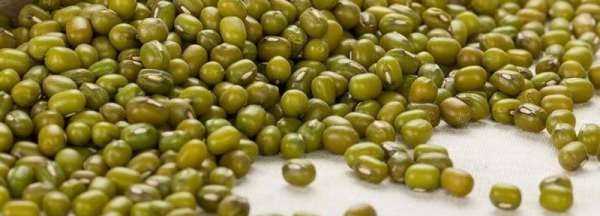 綠豆不泡直接煮可以,綠豆不泡直接煮可以嗎圖1