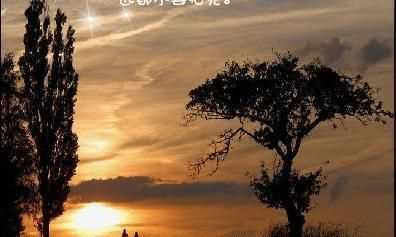 無(wú)可奈何花落去類(lèi)似的詩(shī)句