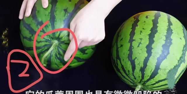 怎么區別西瓜熟沒(méi)熟?