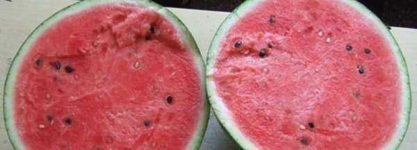 怎么分辨西瓜有沒(méi)有成熟,瓜農怎么辨別西瓜是否成熟圖3