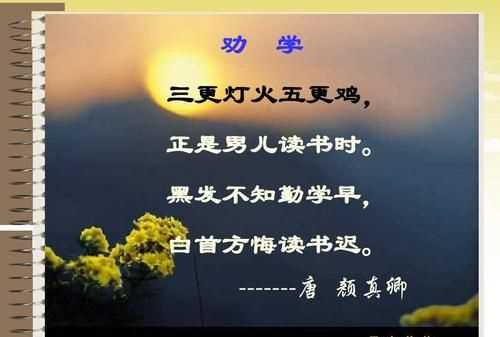 白首方悔讀書(shū)遲上一句是什么意思