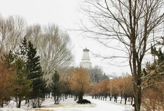 五臺山在哪個(gè)省，武當山、泰山、華山、五臺山、西湖、青海湖分布在哪個(gè)??？圖5