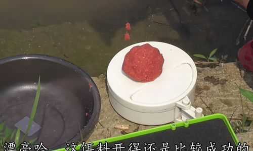 如何開(kāi)好一款拉餌