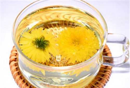 菊花茶隔夜可以喝嗎,過(guò)夜的菊花茶還能喝