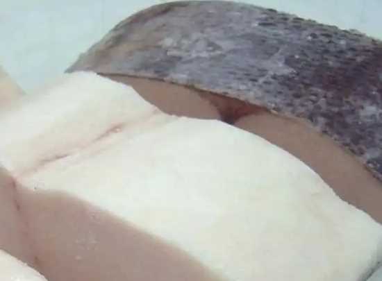 油魚(yú)和鱈魚(yú)的區別,油魚(yú)和鱈魚(yú)的區別圖片圖7