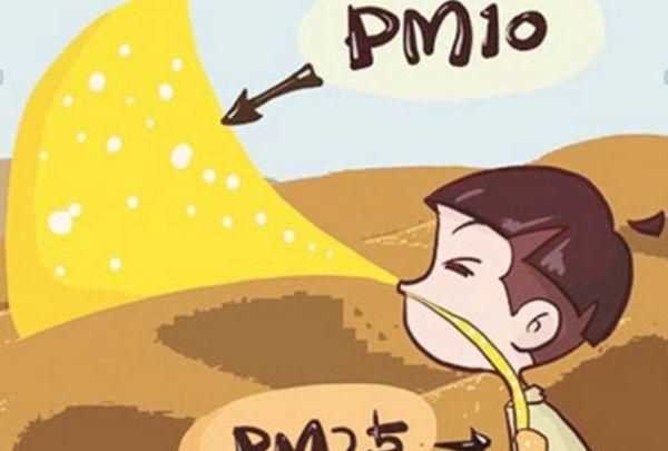 pm10的主要來(lái)源是什么