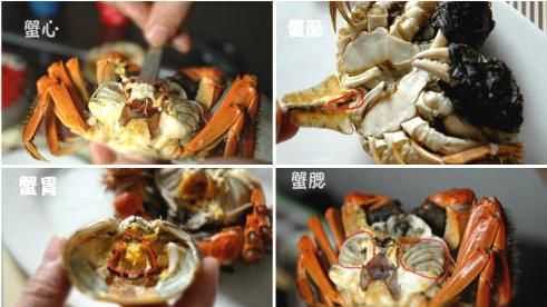 螃蟹有黃的是公的還是母的