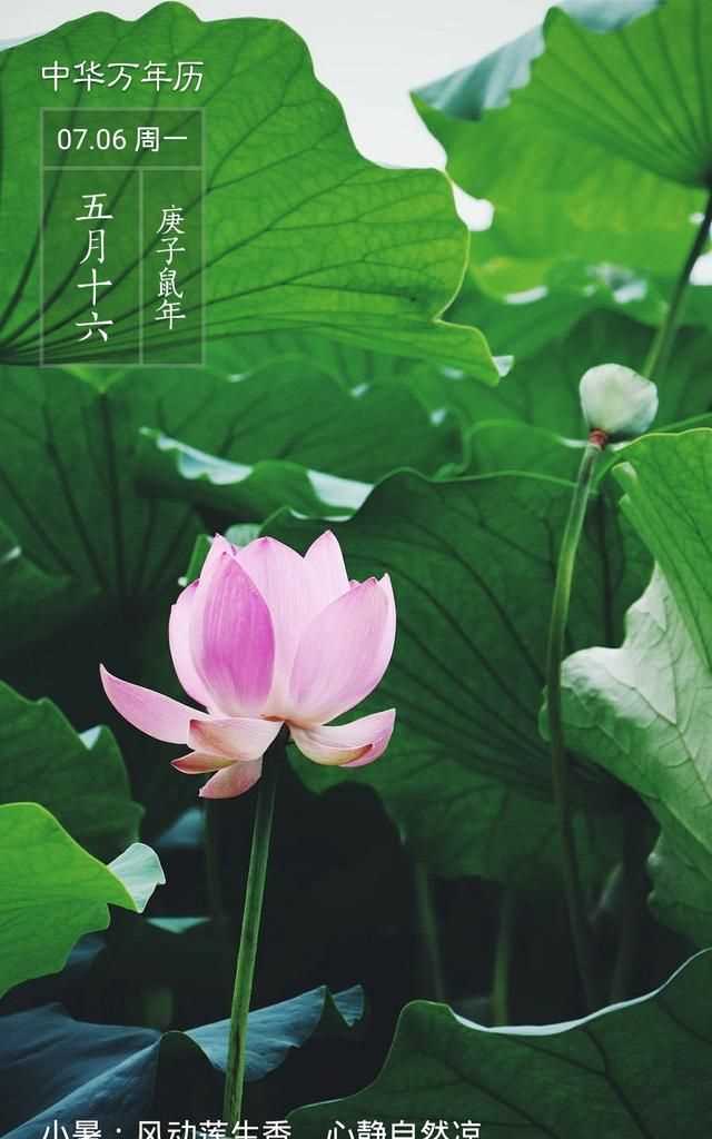 隋朝多少年，三國兩晉南北朝持續了多少年？圖3