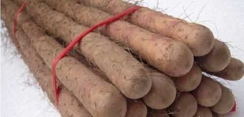 如何挑選好品質(zhì)的山藥，如何挑選山藥的好壞？圖9