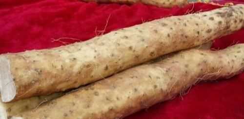 如何挑選好品質(zhì)的山藥，如何挑選山藥的好壞？圖10