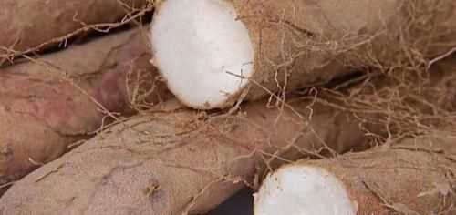 如何挑選好品質(zhì)的山藥，如何挑選山藥的好壞？圖12