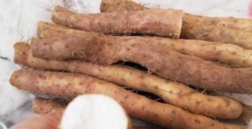 如何挑選好品質(zhì)的山藥，如何挑選山藥的好壞？圖13