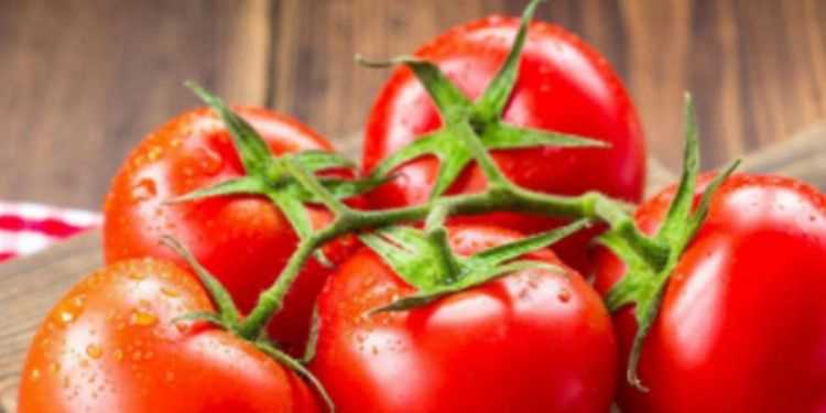 夏天的蔬菜有哪些應季的