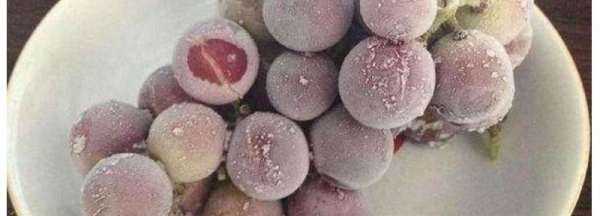 葡萄上有凸起的小點(diǎn)點(diǎn)可以吃,葡萄上有凸起的小點(diǎn)點(diǎn)可以吃嗎圖1