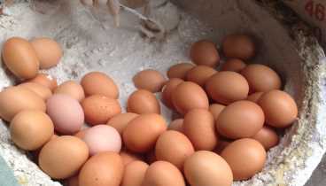 農村土方法做變蛋,變蛋的制作方法和配方圖4