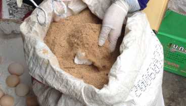 農村土方法做變蛋,變蛋的制作方法和配方圖5