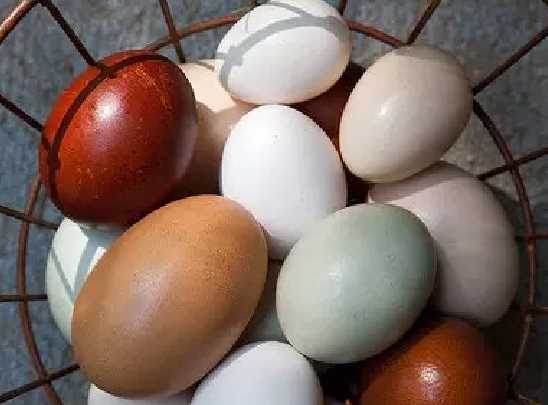 農村土方法做變蛋,變蛋的制作方法和配方圖11