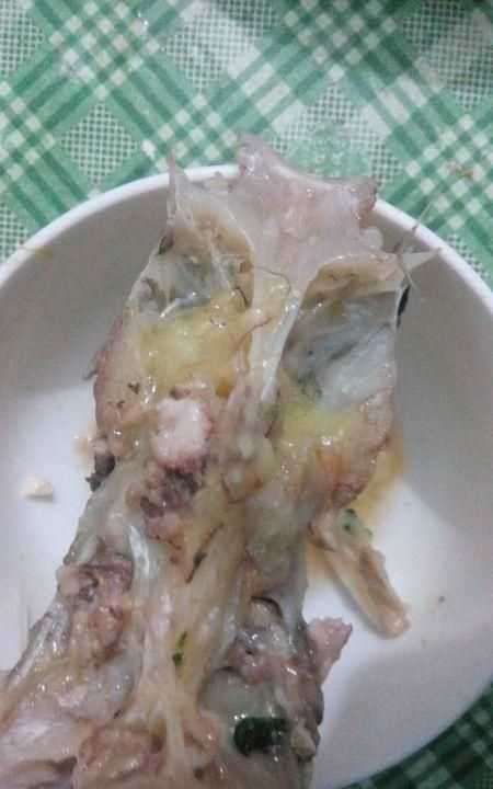 魚(yú)鰓發(fā)白的活魚(yú)能吃嗎