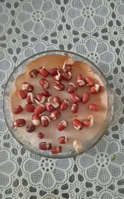 紅豆泡發(fā)芽了還能吃嗎