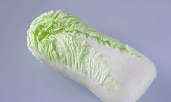 白菜每層都有黑點(diǎn)點(diǎn)是什么,白菜上的小黑點(diǎn)到底是什么東西圖2