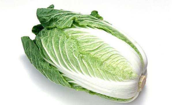 白菜每層都有黑點(diǎn)點(diǎn)是什么,白菜上的小黑點(diǎn)到底是什么東西圖6