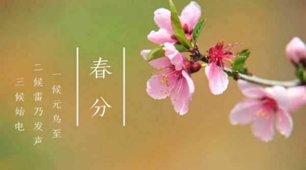 春分天氣就開(kāi)始變暖了,天氣什么時(shí)候開(kāi)始變暖2022圖4